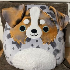 Squishmallow raylor Australian Shepherd aussie